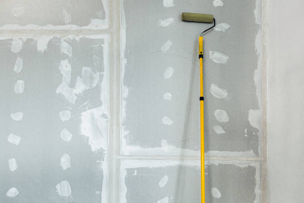 Best Post-Construction Mold Inspection  in Royal Oak, MI