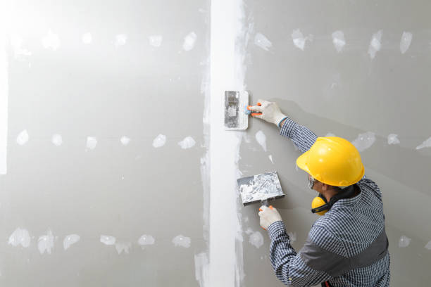 Best Air Quality Testing for Mold Spores  in Royal Oak, MI