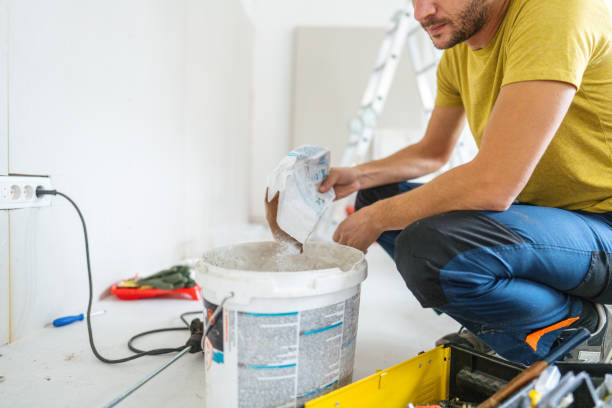 Best Post-Construction Mold Inspection  in Royal Oak, MI