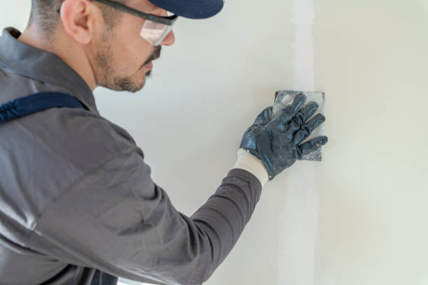 Best Mold Documentation for Insurance Claims  in Royal Oak, MI