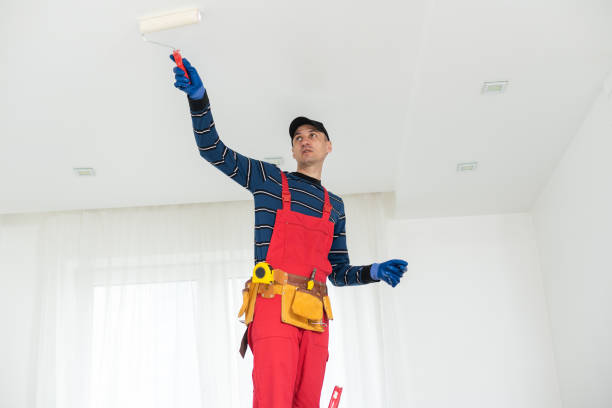 Best Water Damage & Mold Remediation  in Royal Oak, MI