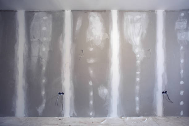 Asbestos and Lead Testing During Mold Inspection in Royal Oak, MI